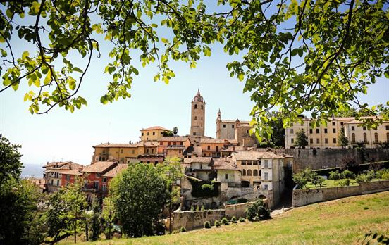 View of Monforte d&apos;Alba