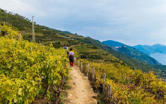 Cinque Terre Weinbergpfade