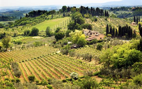 Tuscany's patchwork landscape of vineyards