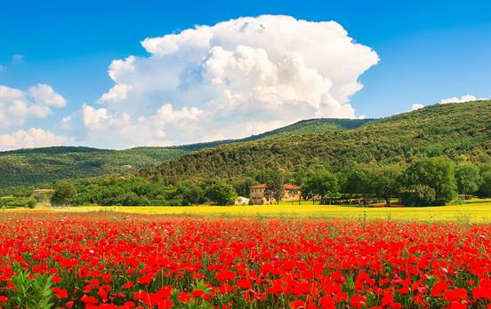 Colours of tuscany