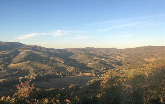 Die Weinhügel des Chianti