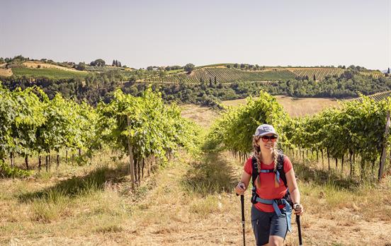 Gambassi To San Gimignano