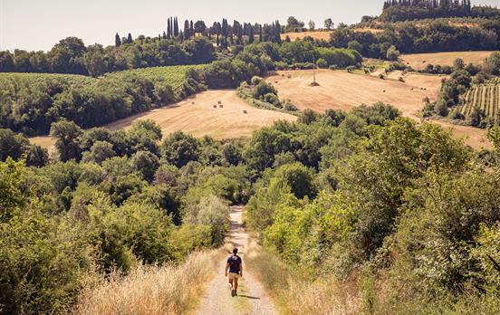 Gambassi To San Gimignano