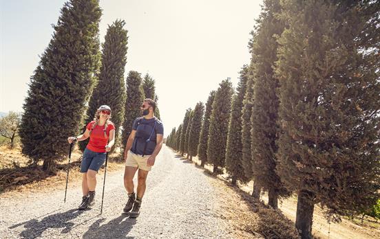 Gambassi To San Gimignano