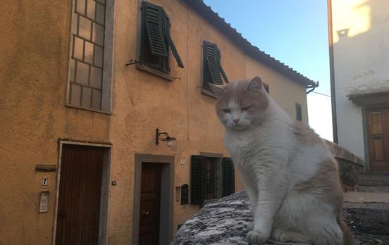 VsourzUmbracoStandardImage-Day1arriveRaddainChianti4