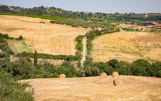 VsourzUmbracoStandardImage-GambassiToSanGimignano044