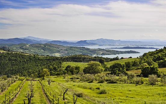 Lake Trasimeno in Umbria