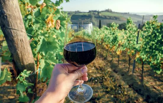 Vineyard visits and local wine