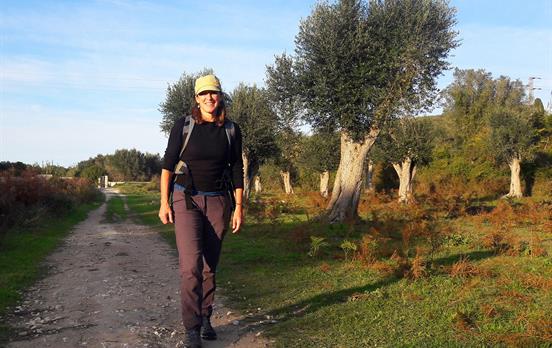 Walking through olive groves
