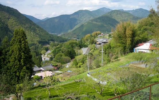 Mountain views over tea plantations