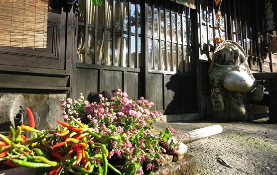 Tanuki at the door protecting the house
