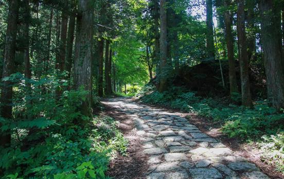 Cobbled path winding through the Nakasendo