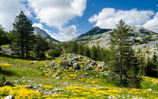 Stay for 2 nights in Lovcen National Park