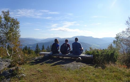 Enjoying the view in Voss