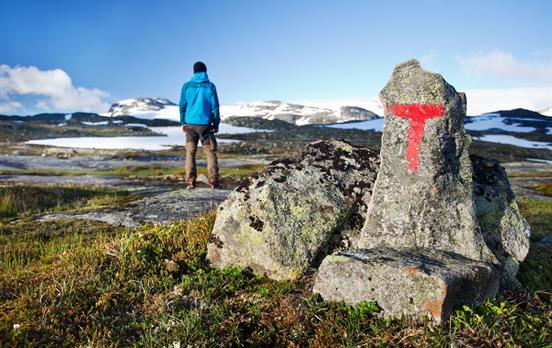 On the Hardangervidda