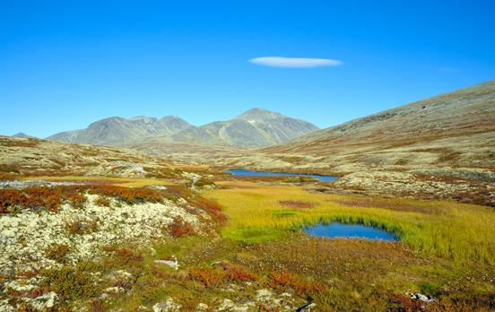 Sunny scenes in the national park