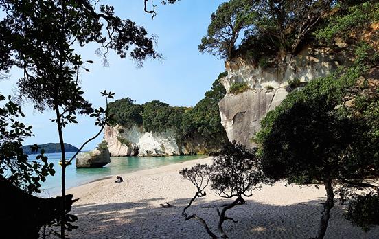 Cathedral Cove