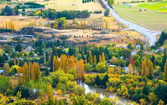 Fall in Arrowtown