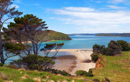 Views on Stewart Island