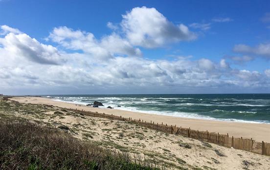 Long stretches of deserted golden beaches