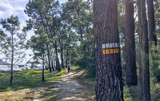 Change of scenery with some forest paths