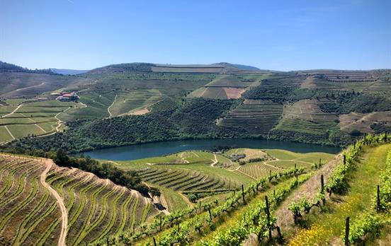 The Douro Valley