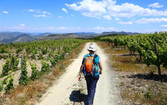 Walking through the vineyards