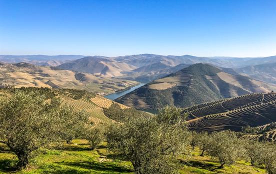 The Douro Valley