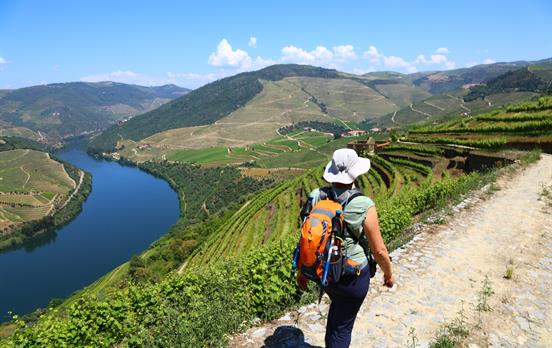 Walking in the Douro Valley