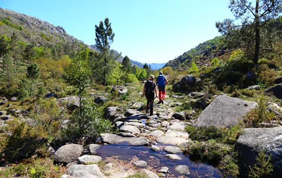 Walking in the national park