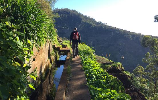 Madeira's Levadas