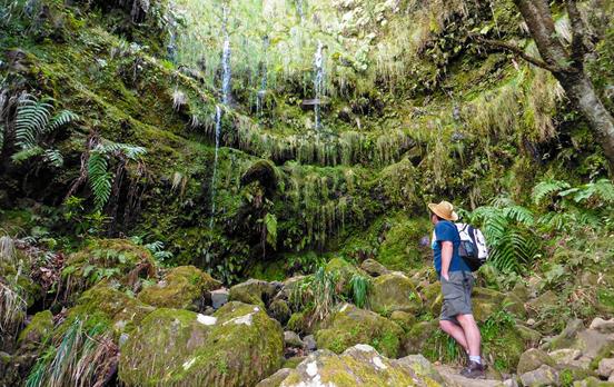 Waterfalls of Madeira
