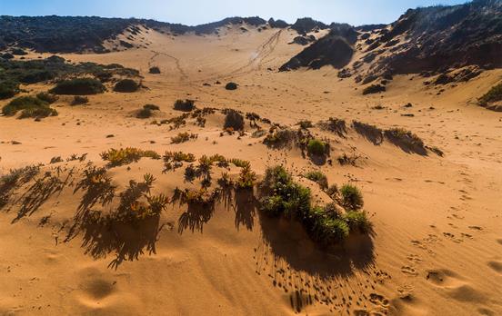 Caramel coloured sand dunes