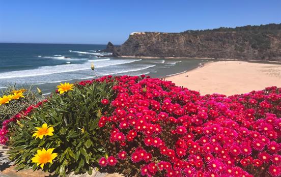 The beautiful Odeceixe beach