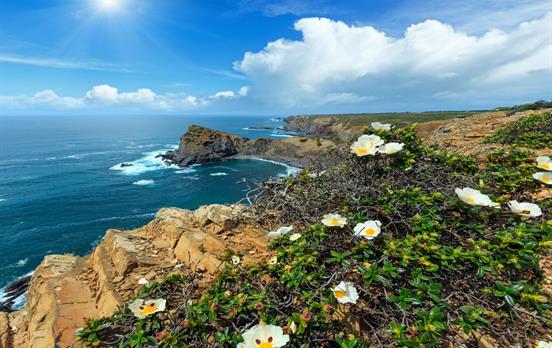 Enjoy a coastline rich in flora and fauna
