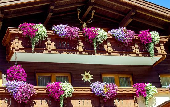 Alpine chalets filled with flowers
