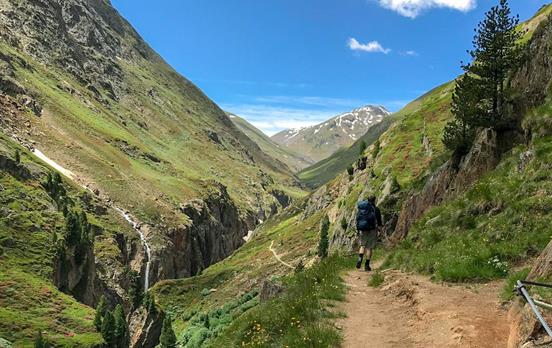 Grüne Idylle mit kleinem Wasserfall