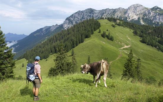 Making friends on the trail