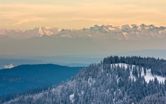 Alpenpanorama ©Hochschwarzwald Tourismus