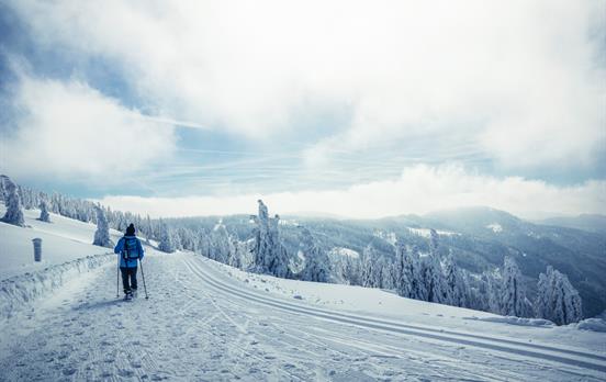 Winterwandern ©Hochschwarzwald Tourismus