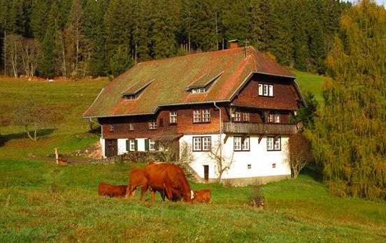 Schwarzwaldhaus ©Hochschwarzwald Tourismus