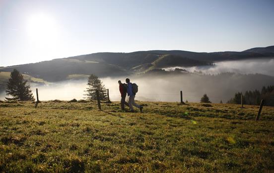 Schöner Schwarzwald © Hochschwarzwald Tourismus