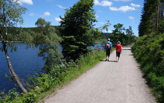 Der Seerundweg am Titisee