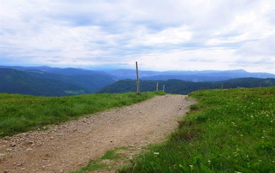 Hoch oben auf dem Herzogenhorn