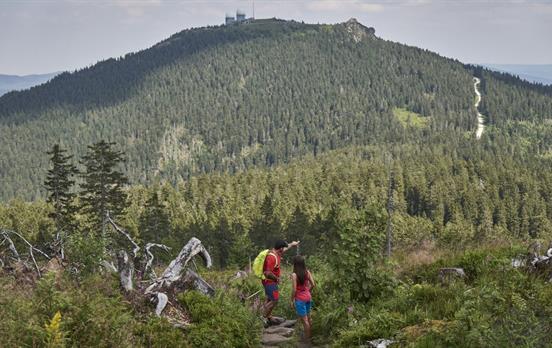 Bayerischer Wald © Tourismusverband Ostbayern e.V.