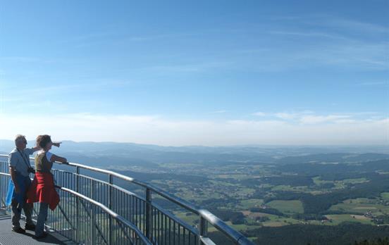 Blick in Richtung Cham © M. Schreiner