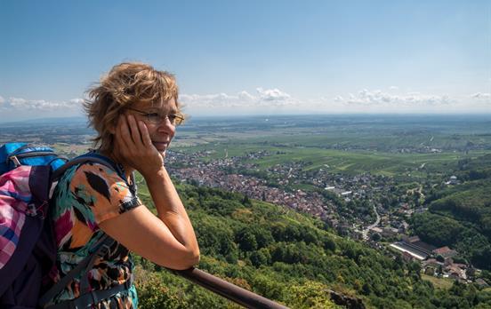 Blick über Ribeauvillé