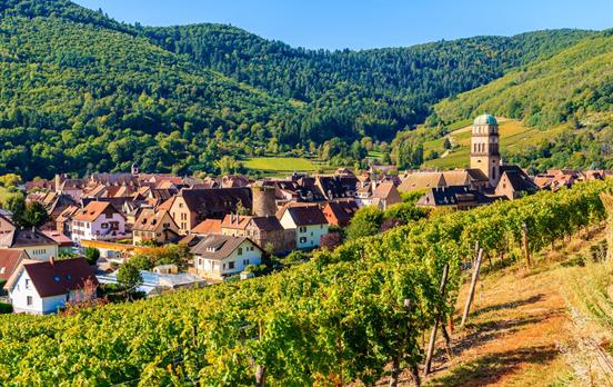 Weinberge um Kaysersberg