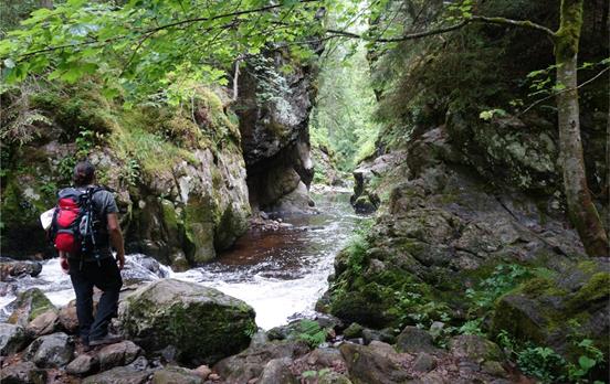 Im hinteren Teil der Wutachschlucht