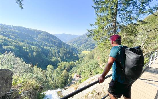 Schwarzwald Panorama